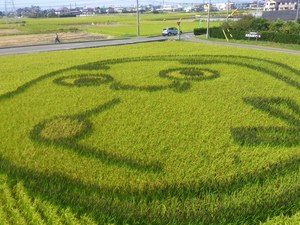 DSC_0364　遊路.jpg